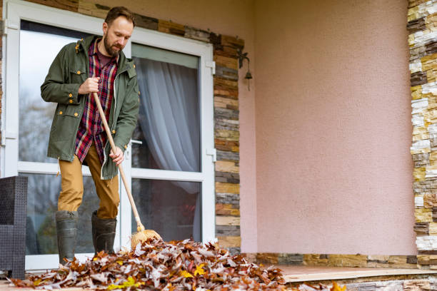 Basement Cleanout Services in Palos Heights, IL